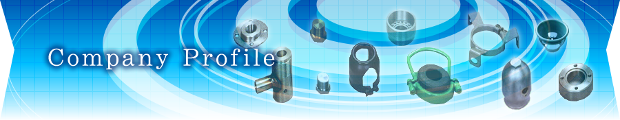 Company Profile