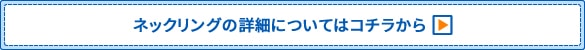 ネックリングの詳細についてはこちらから